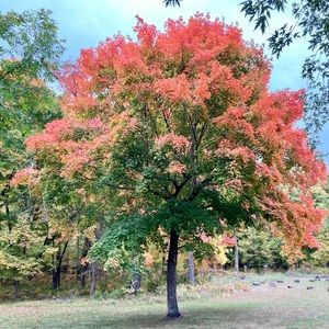 Meet your Posher, Niki